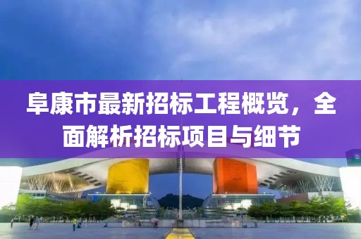 阜康市最新招標工程概覽，全面解析招標項目與細節