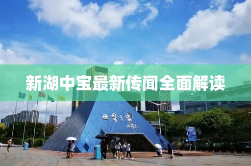 新湖中寶最新傳聞全面解讀