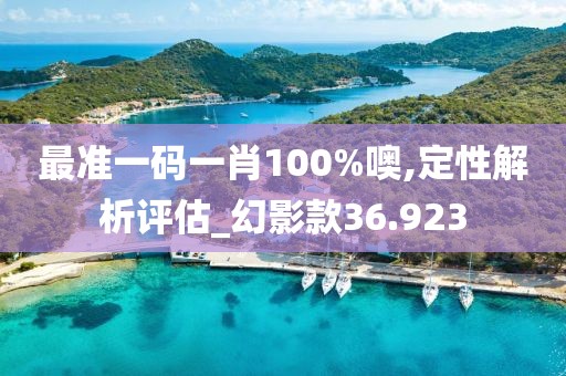 最準一碼一肖100%噢,定性解析評估_幻影款36.923