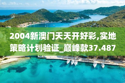 2004新澳門天天開好彩,實地策略計劃驗證_巔峰款37.487