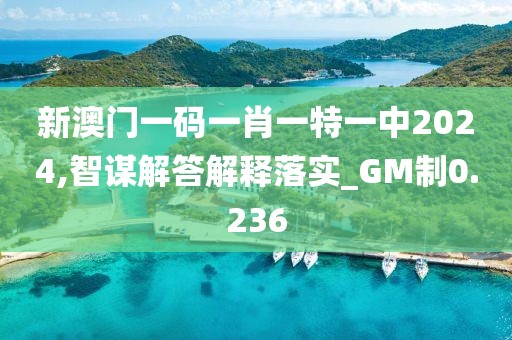 新澳門一碼一肖一特一中2024,智謀解答解釋落實_GM制0.236