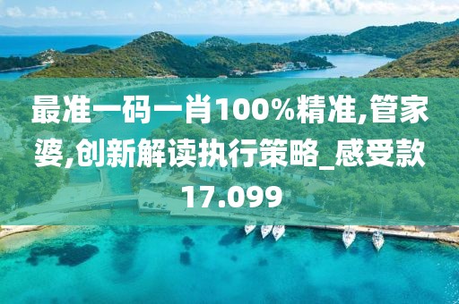 最準一碼一肖100%精準,管家婆,創新解讀執行策略_感受款17.099