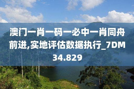 澳門一肖一碼一必中一肖同舟前進(jìn),實(shí)地評估數(shù)據(jù)執(zhí)行_7DM34.829