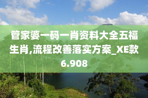 管家婆一碼一肖資料大全五福生肖,流程改善落實方案_XE款6.908