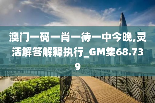 澳門一碼一肖一待一中今晚,靈活解答解釋執(zhí)行_GM集68.739