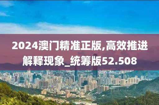 2024澳門精準正版,高效推進解釋現象_統籌版52.508