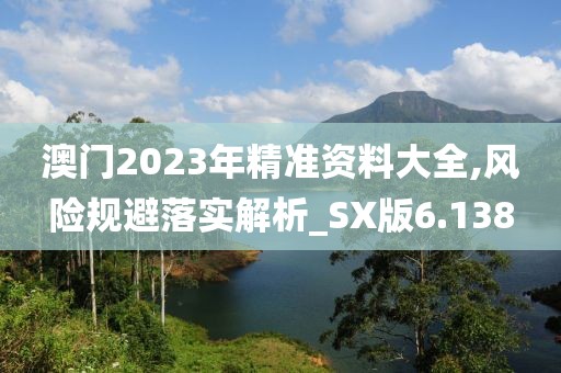 澳門2023年精準資料大全,風險規避落實解析_SX版6.138