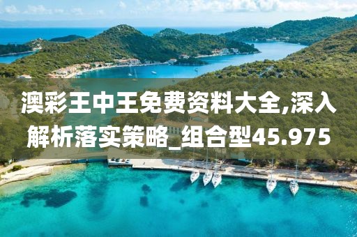 澳彩王中王免費資料大全,深入解析落實策略_組合型45.975