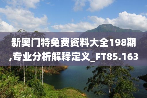 新奧門特免費(fèi)資料大全198期,專業(yè)分析解釋定義_FT85.163