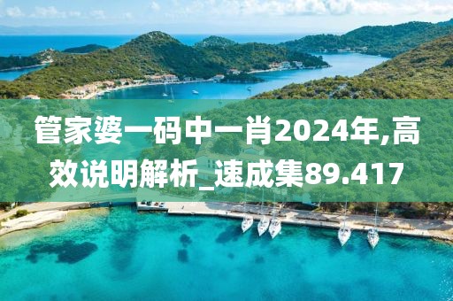 管家婆一碼中一肖2024年,高效說(shuō)明解析_速成集89.417