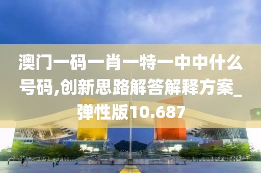 澳門一碼一肖一特一中中什么號碼,創新思路解答解釋方案_彈性版10.687