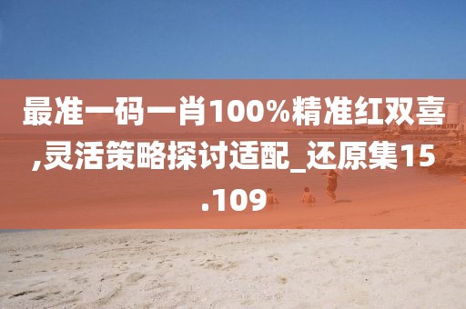 最準一碼一肖100%精準紅雙喜,靈活策略探討適配_還原集15.109