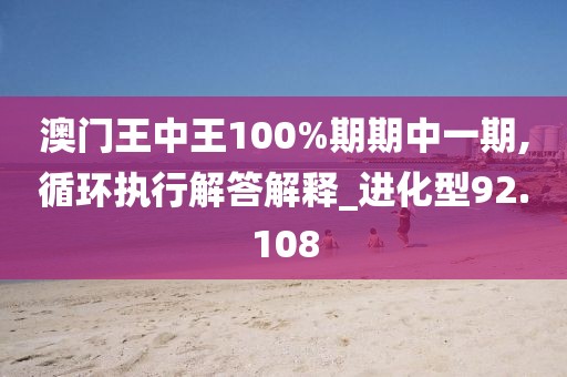 澳門王中王100%期期中一期,循環執行解答解釋_進化型92.108