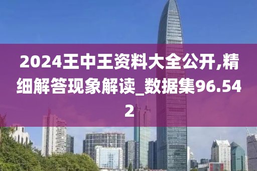 2024王中王資料大全公開,精細(xì)解答現(xiàn)象解讀_數(shù)據(jù)集96.542