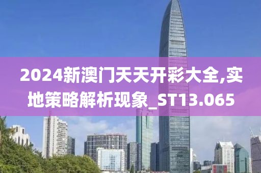 2024新澳門天天開彩大全,實地策略解析現象_ST13.065