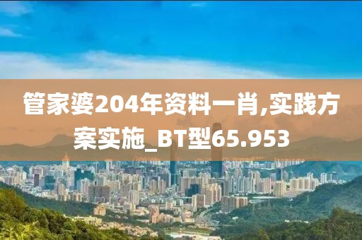 管家婆204年資料一肖,實踐方案實施_BT型65.953