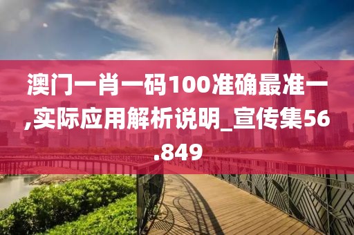 澳門一肖一碼100準確最準一,實際應用解析說明_宣傳集56.849