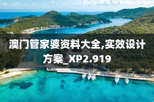 澳門管家婆資料大全,實效設計方案_XP2.919