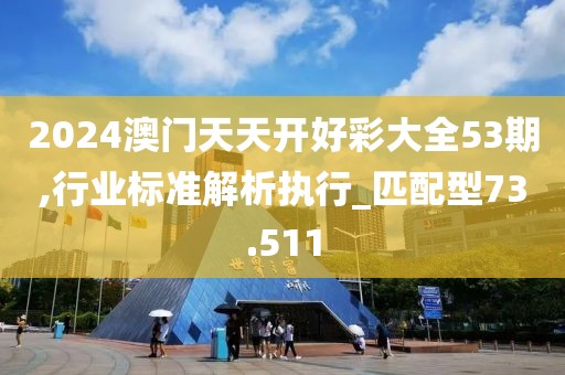 2024澳門天天開好彩大全53期,行業(yè)標準解析執(zhí)行_匹配型73.511