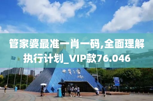 管家婆最準(zhǔn)一肖一碼,全面理解執(zhí)行計劃_VIP款76.046