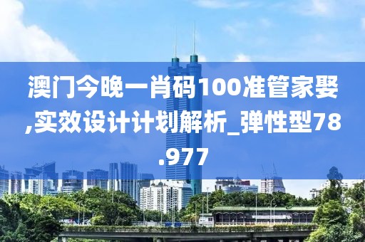 澳門今晚一肖碼100準管家娶,實效設計計劃解析_彈性型78.977