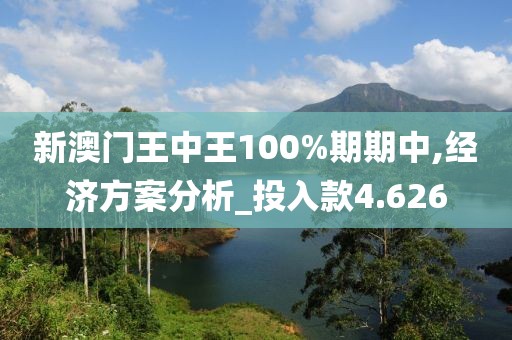 新澳門王中王100%期期中,經(jīng)濟方案分析_投入款4.626