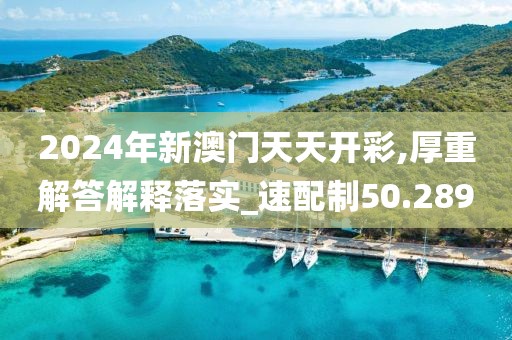 2024年新澳門天天開彩,厚重解答解釋落實_速配制50.289