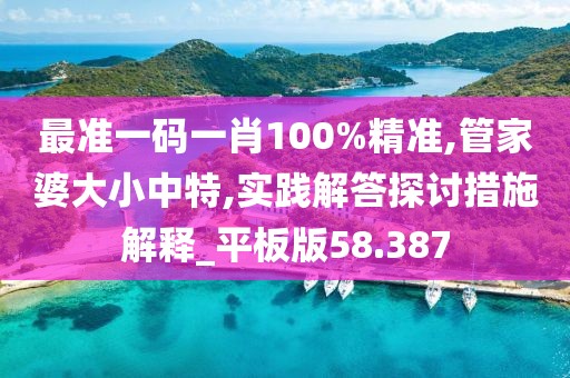 最準一碼一肖100%精準,管家婆大小中特,實踐解答探討措施解釋_平板版58.387