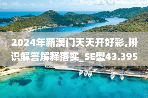 2024年新澳門天天開好彩,辨識解答解釋落實_SE型43.395