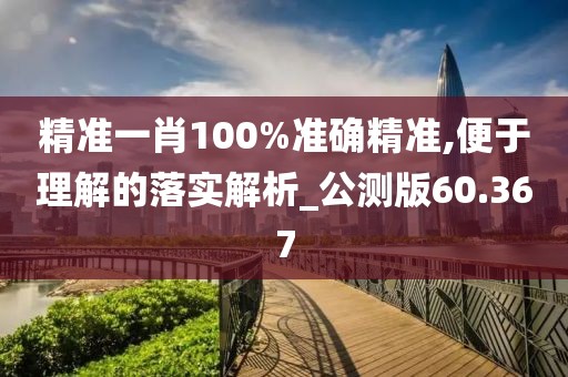 精準一肖100%準確精準,便于理解的落實解析_公測版60.367