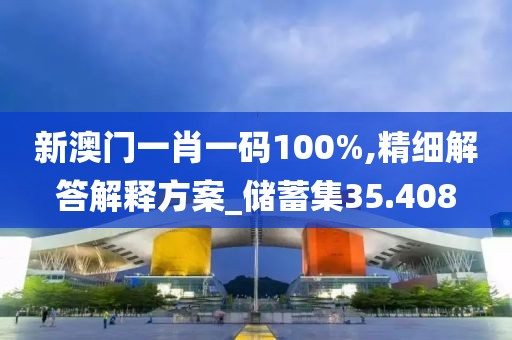 新澳門一肖一碼100%,精細解答解釋方案_儲蓄集35.408