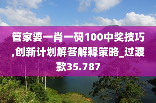 管家婆一肖一碼100中獎技巧,創新計劃解答解釋策略_過渡款35.787