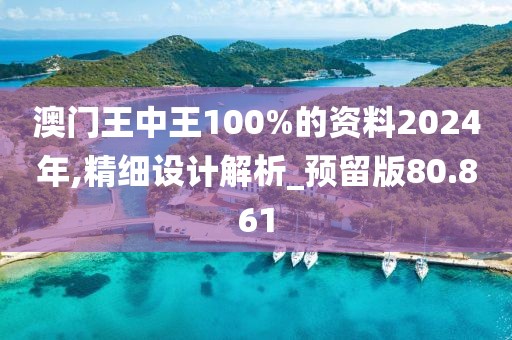 澳門王中王100%的資料2024年,精細(xì)設(shè)計解析_預(yù)留版80.861