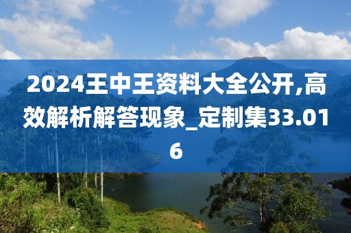 2024王中王資料大全公開,高效解析解答現象_定制集33.016