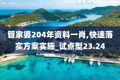 管家婆204年資料一肖,快速落實方案實施_試點型23.24