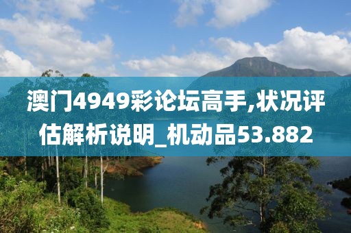 澳門4949彩論壇高手,狀況評估解析說明_機動品53.882