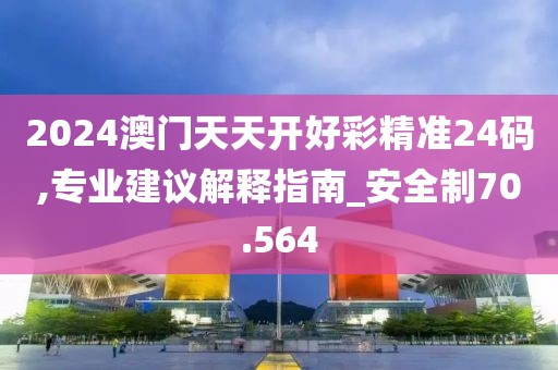 2024澳門天天開好彩精準24碼,專業建議解釋指南_安全制70.564