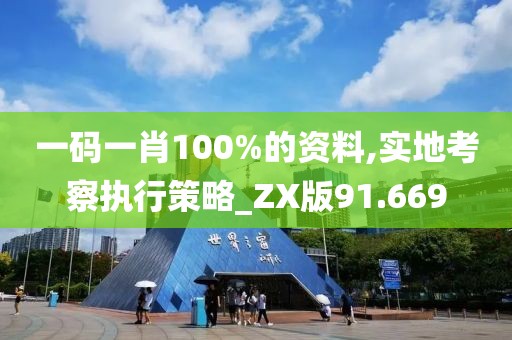 一碼一肖100%的資料,實地考察執(zhí)行策略_ZX版91.669