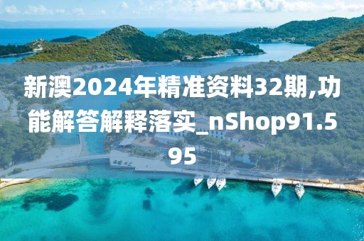 新澳2024年精準資料32期,功能解答解釋落實_nShop91.595