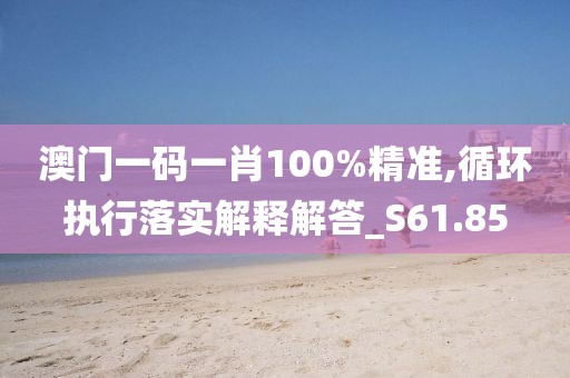 澳門一碼一肖100%精準,循環執行落實解釋解答_S61.85