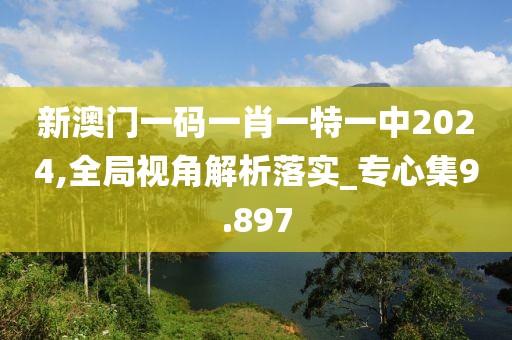 新澳門一碼一肖一特一中2024,全局視角解析落實_專心集9.897