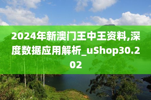 2024年新澳門王中王資料,深度數據應用解析_uShop30.202