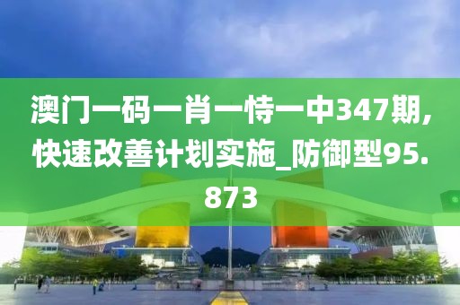 澳門一碼一肖一恃一中347期,快速改善計劃實施_防御型95.873