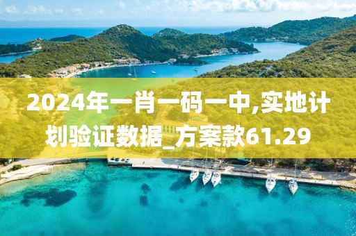 2024年一肖一碼一中,實地計劃驗證數據_方案款61.29