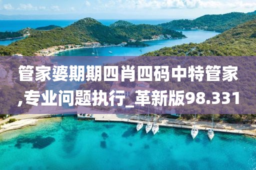 管家婆期期四肖四碼中特管家,專業問題執行_革新版98.331