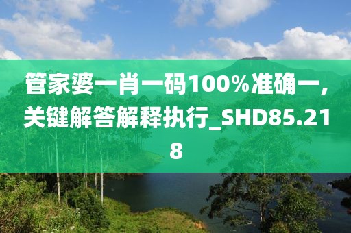 管家婆一肖一碼100%準確一,關鍵解答解釋執行_SHD85.218