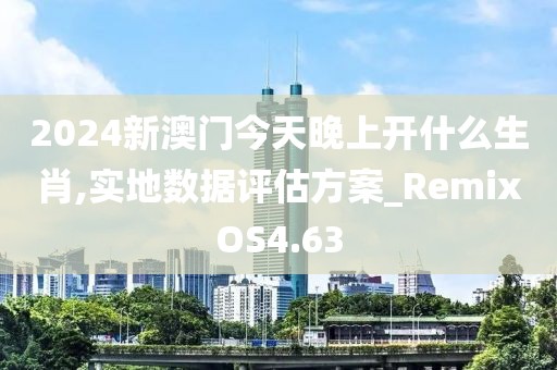 2024新澳門今天晚上開什么生肖,實地數據評估方案_RemixOS4.63