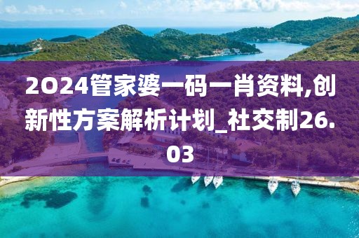 2O24管家婆一碼一肖資料,創新性方案解析計劃_社交制26.03