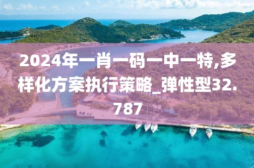 2024年一肖一碼一中一特,多樣化方案執(zhí)行策略_彈性型32.787