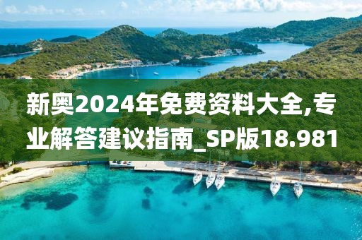 新奧2024年免費資料大全,專業解答建議指南_SP版18.981